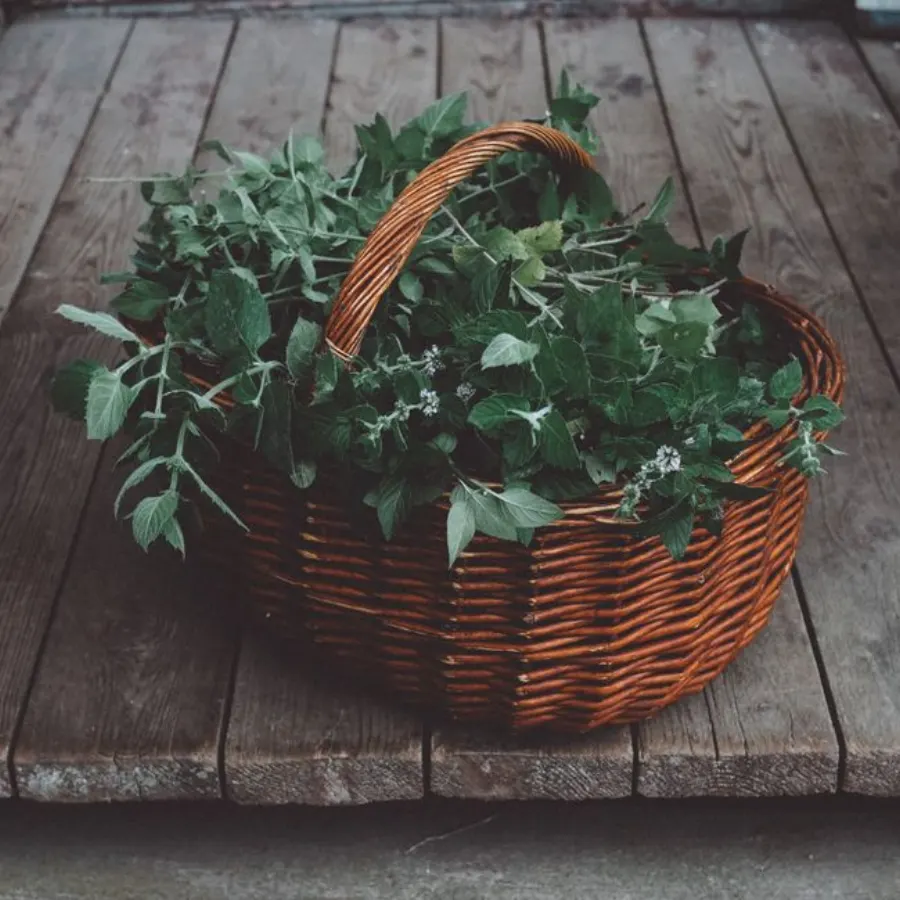 Jardinière Tressée en rotin