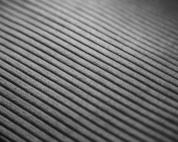 Texture : Cannelé